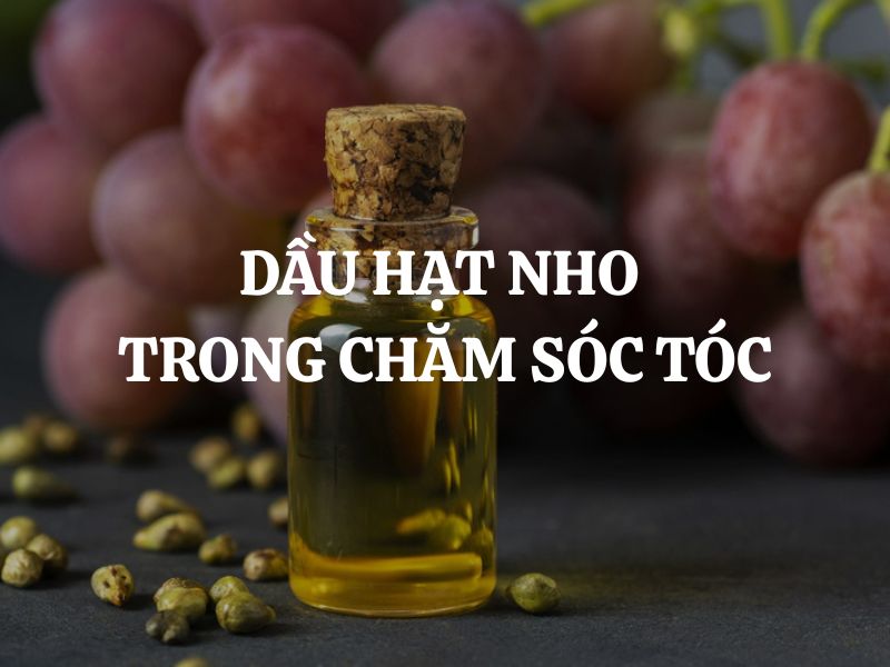 Dầu hạt nho trong chăm sóc tóc: Lợi ích và cách sử dụng hiệu quả