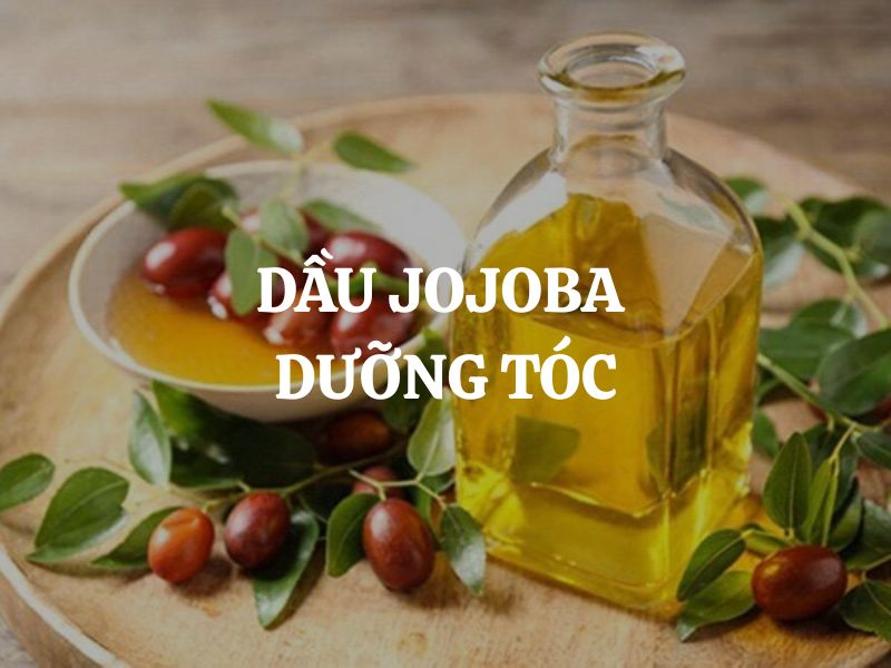 Dầu jojoba dưỡng tóc: Giải pháp tự nhiên cho mái tóc chắc khỏe và óng mượt