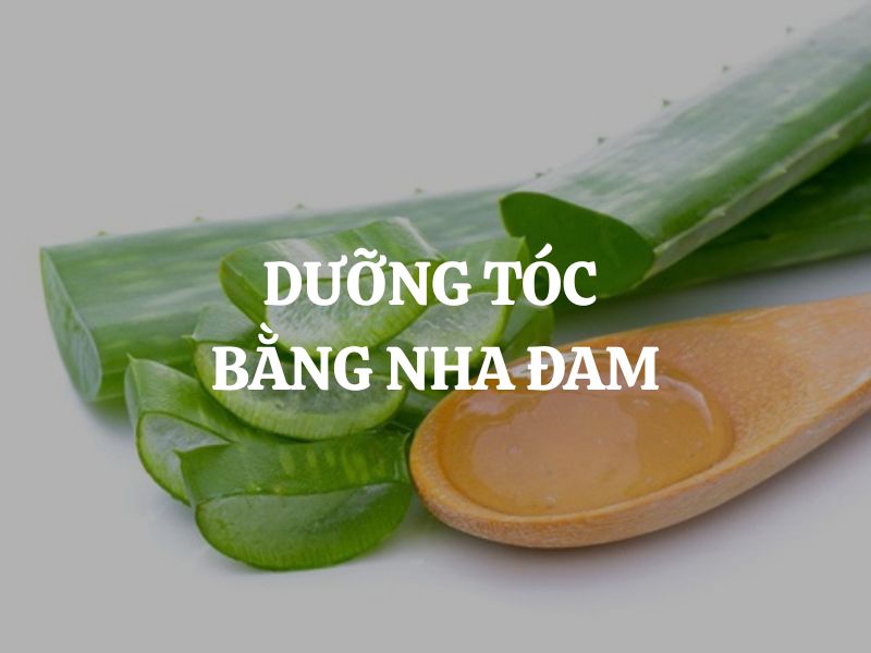 Dưỡng tóc bằng nha đam cho mái tóc chắc khỏe và óng mượt