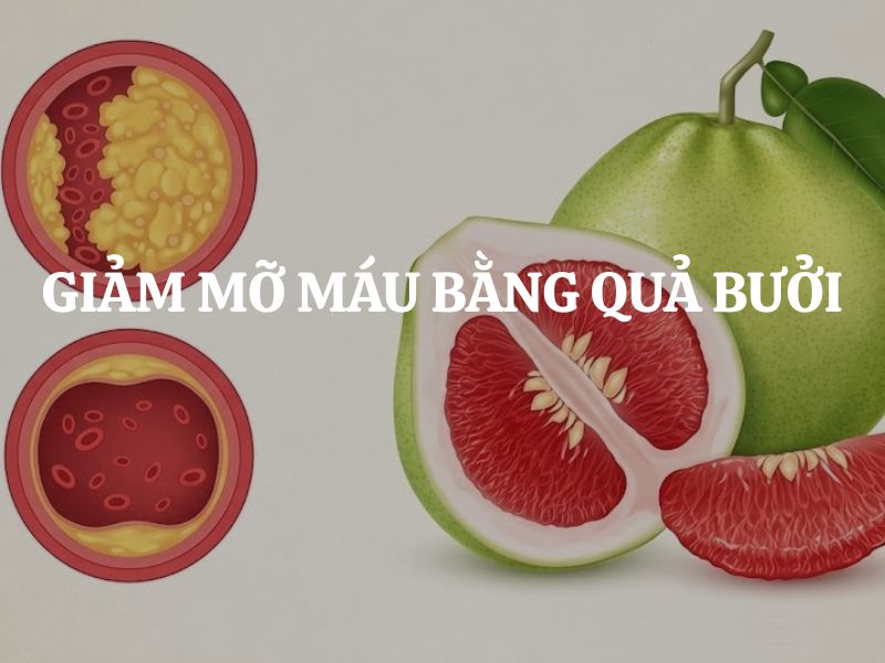 Giảm mỡ máu bằng quả bưởi: Bí quyết đánh bay cholesterol xấu tự nhiên