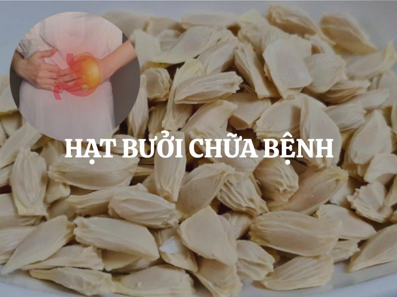 Hạt bưởi chữa bệnh có thật không? Công dụng bất ngờ của hạt bưởi đối với sức khỏe