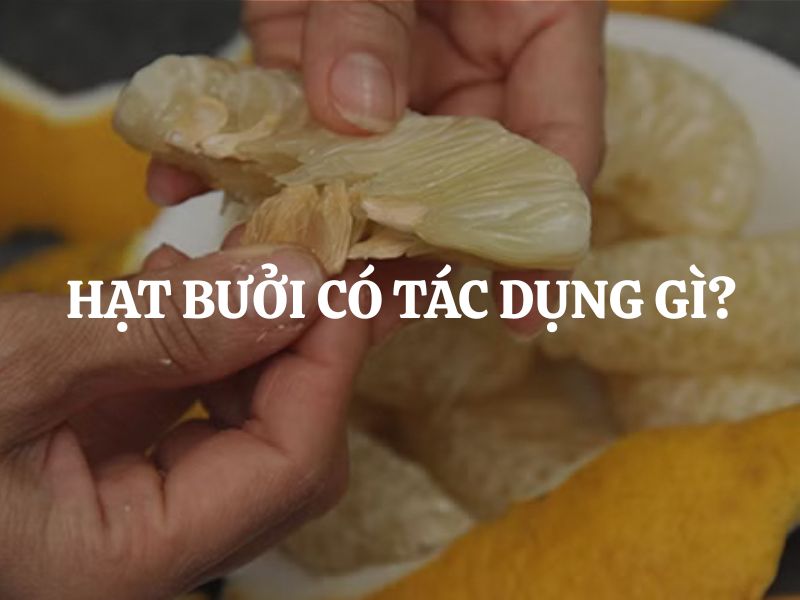 Hạt bưởi có tác dụng gì? Những lợi ích bất ngờ của hạt bưởi đối với sức khỏe