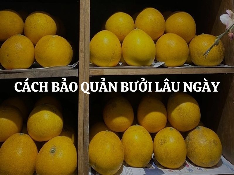 Hướng dẫn cách bảo quản bưởi lâu ngày hiệu quả, tươi ngon từ 4 đến 6 tháng