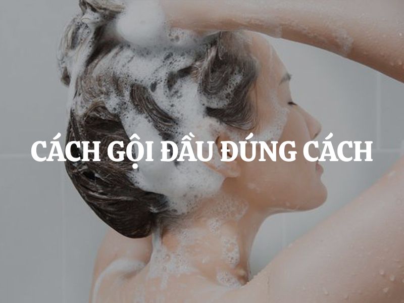 Hướng dẫn cách gội đầu đúng cách từ A-Z cho mọi loại tóc