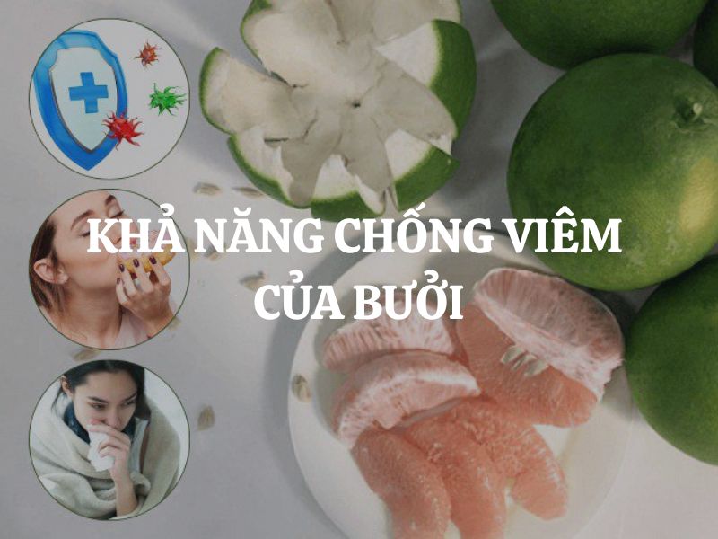 Khả năng chống viêm của bưởi: Bí quyết chăm sóc sức khỏe từ thiên nhiên