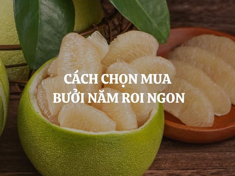 Mách bạn cách chọn mua bưởi năm roi ngon ngọt mọng nước cực dễ
