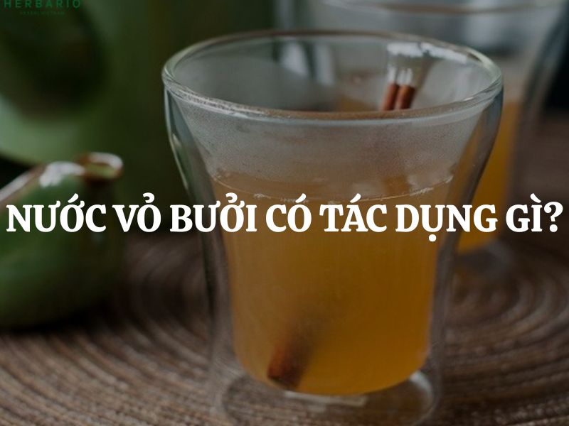 Nước vỏ bưởi có tác dụng gì cho sức khỏe? Những lưu ý quan trọng khi uống nước vỏ bưởi