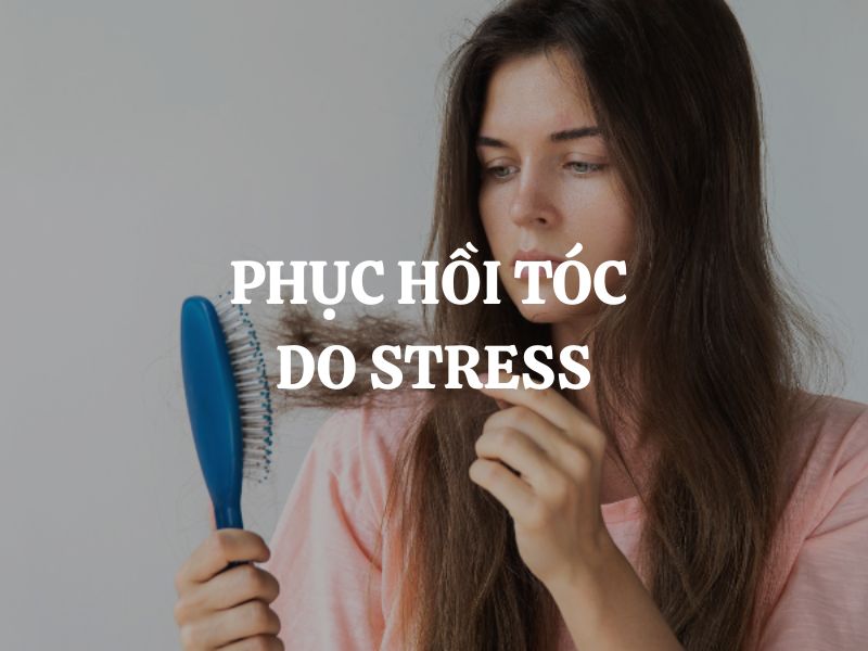 Phục hồi tóc do stress - Những bí quyết giúp bạn lấy lại mái tóc chắc khỏe