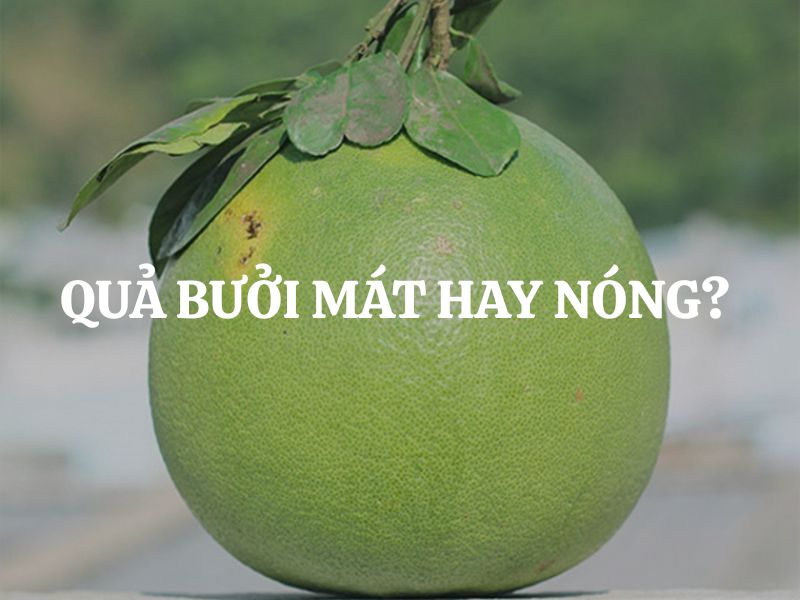 Quả bưởi mát hay nóng? Giải đáp chi tiết và những lưu ý khi ăn bưởi
