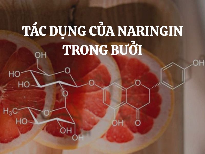 Tác dụng của naringin trong bưởi đối với sức khỏe con người