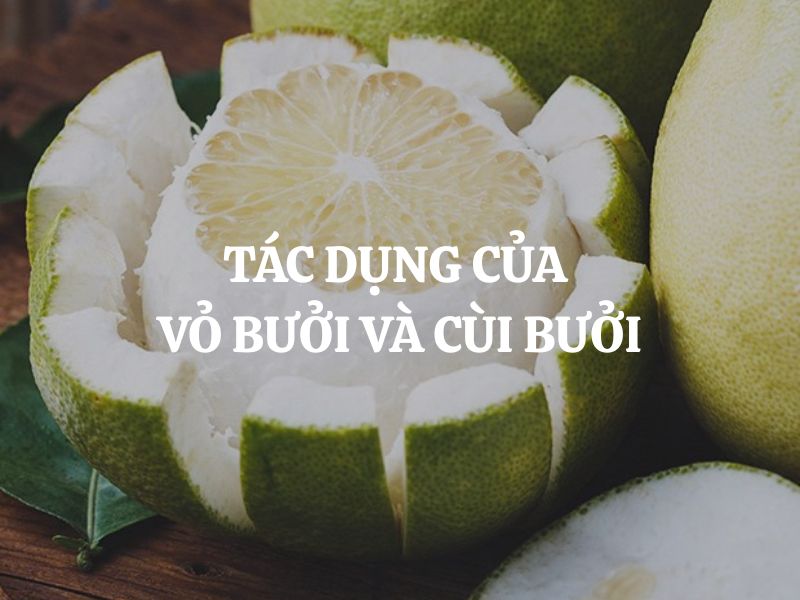 Tác dụng của vỏ bưởi và cùi bưởi đối với sức khỏe và đời sống hằng ngày
