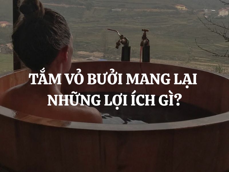 Tắm vỏ bưởi mang lại những lợi ích gì? Hướng dẫn cách tắm vỏ bưởi đơn giản và hiệu quả Tắm vỏ bưởi mang lại những lợi ích gì? Hướng dẫn cách tắm vỏ bưởi đơn giản và hiệu quả