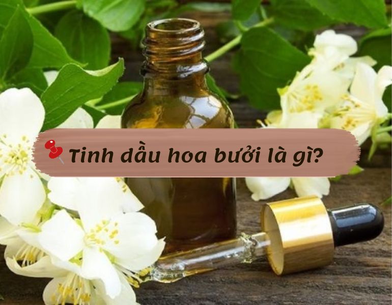 Tinh dầu hoa bưởi là gì?