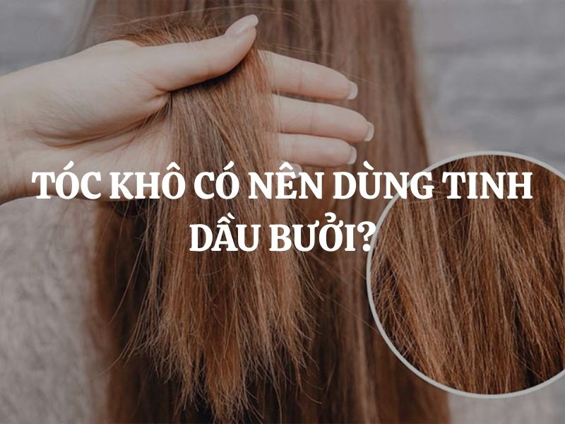 Tóc khô có nên dùng tinh dầu bưởi? Bí quyết phục hồi tóc hư tổn hiệu quả