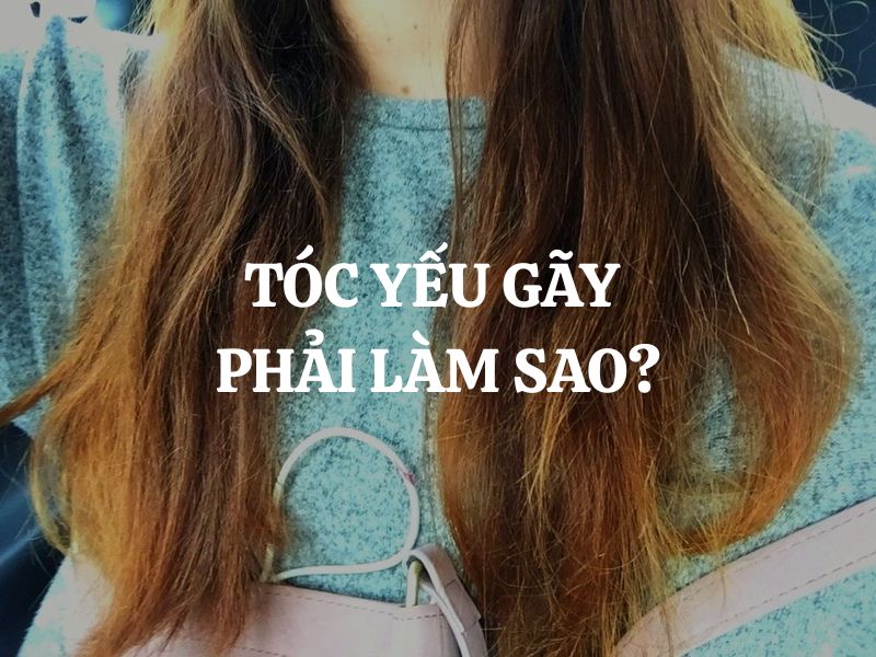 Tóc yếu gãy phải làm sao? Giải pháp chăm sóc mái tóc chắc khỏe từ gốc đến ngọn