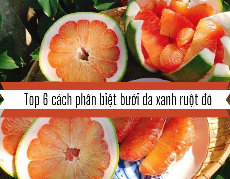 Top 6 cách phân biệt bưởi da xanh ruột đỏ