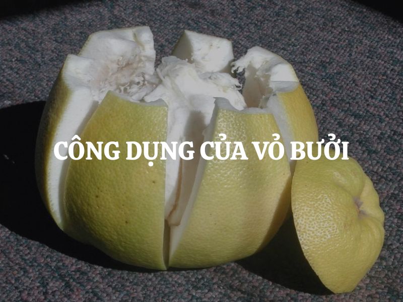 Từ A-Z công dụng của vỏ bưởi trong chữa ho, đầy bụng và cảm lạnh