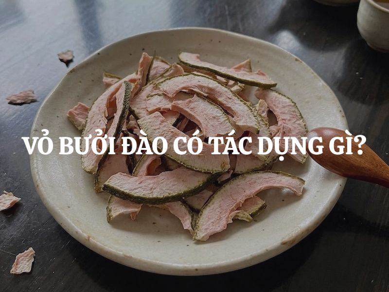 Vỏ bưởi đào có tác dụng gì? Gợi ý các bài thuốc quý từ vỏ bưởi đào bạn nên biết