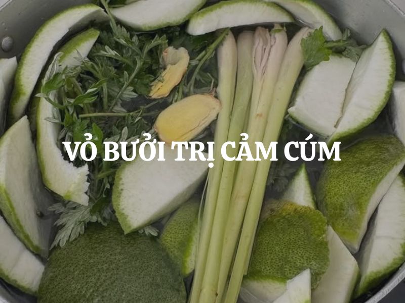 Vỏ bưởi trị cảm cúm có hiệu quả không? Cách xông hơi đúng cách tại nhà