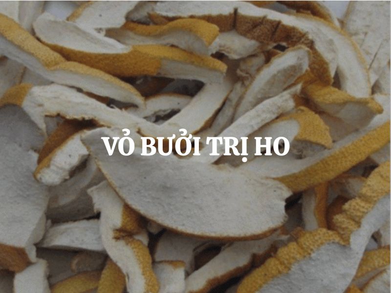 Vỏ bưởi trị ho có hiệu quả không? Cách dùng đúng để giảm ho, long đờm tại nhà