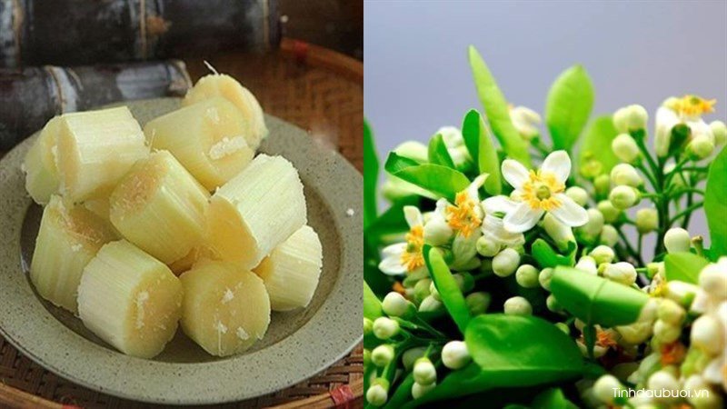 cach lam mia uop hoa buoi