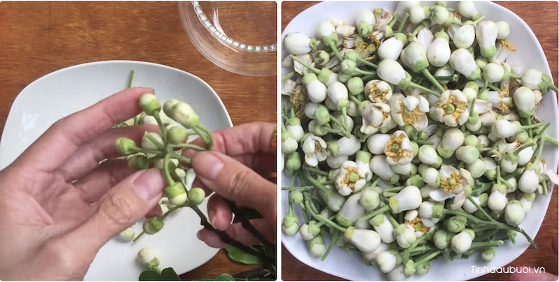 cach lam tinh dau hoa buoi nguyen chat