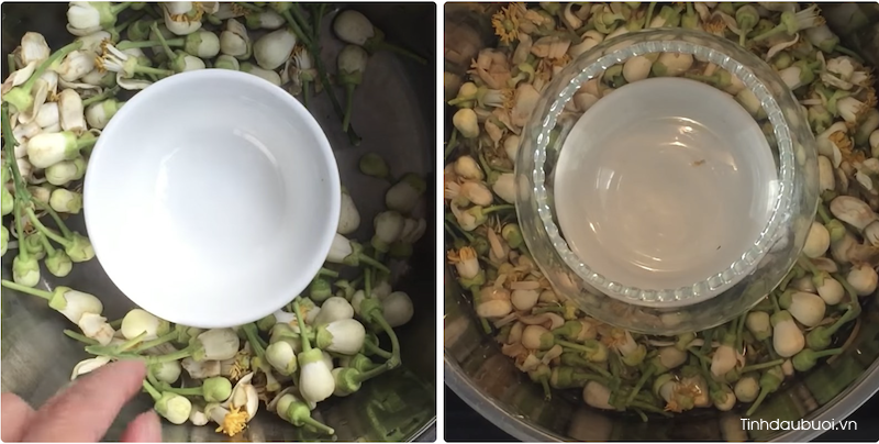 cach lam tinh dau hoa buoi nguyen chat