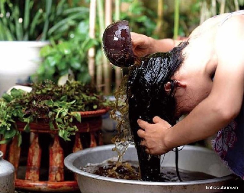 Cách dùng vỏ bưởi dưỡng tóc cach dung vo buoi duong toc