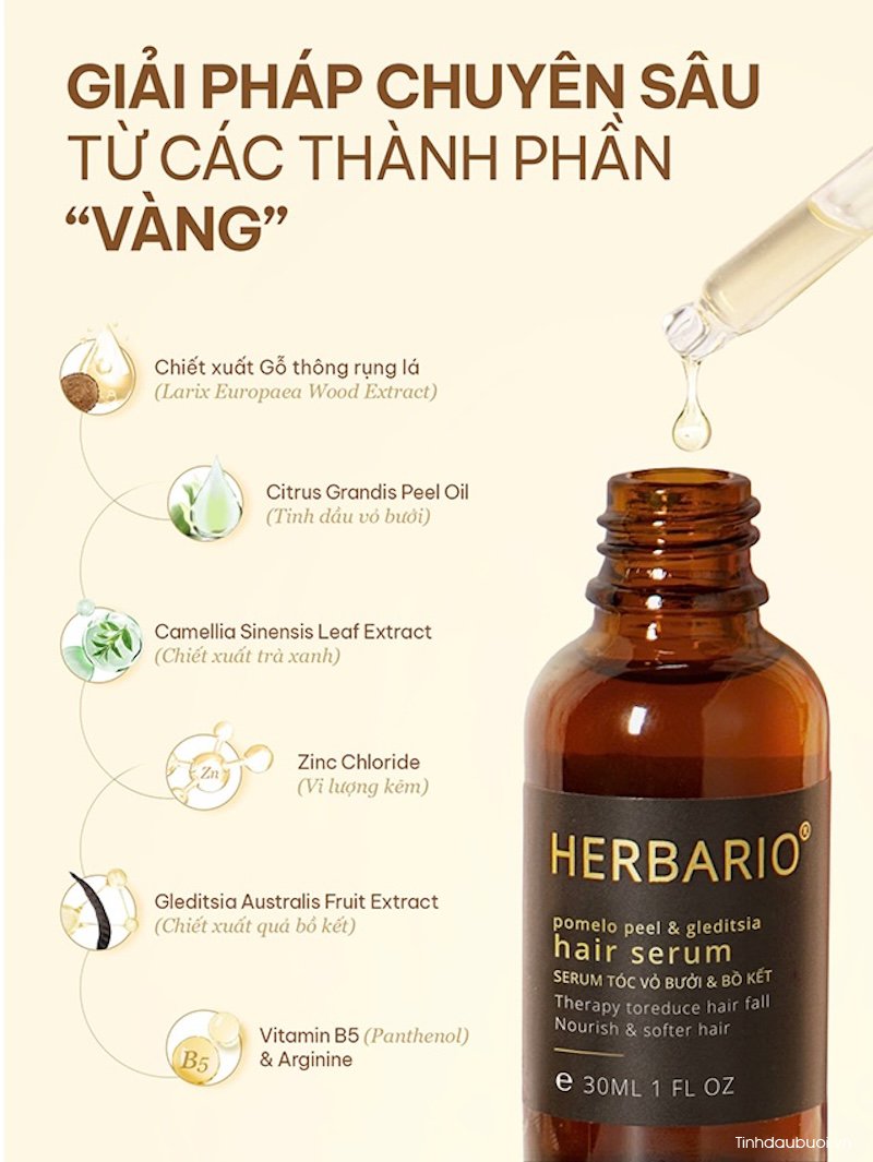 serum vo buoi bo ket herbario