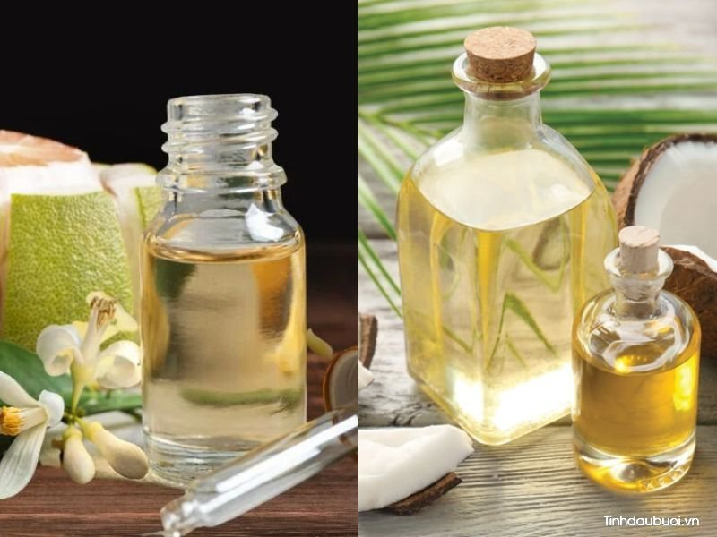 tinh dầu bưởi có giúp mọc tóc tinh dau buoi co giup moc toc
