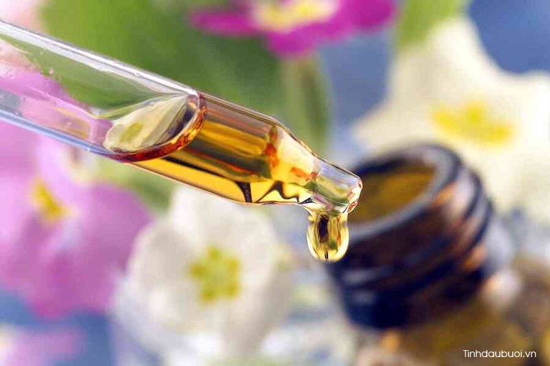 Tinh dầu bưởi trị gàu hiệu quả không tinh dau buoi tri gau hieu qua khong