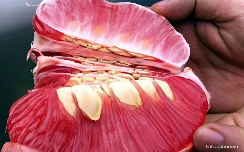 an buoi co tot khong