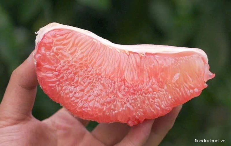 an buoi tang de khang