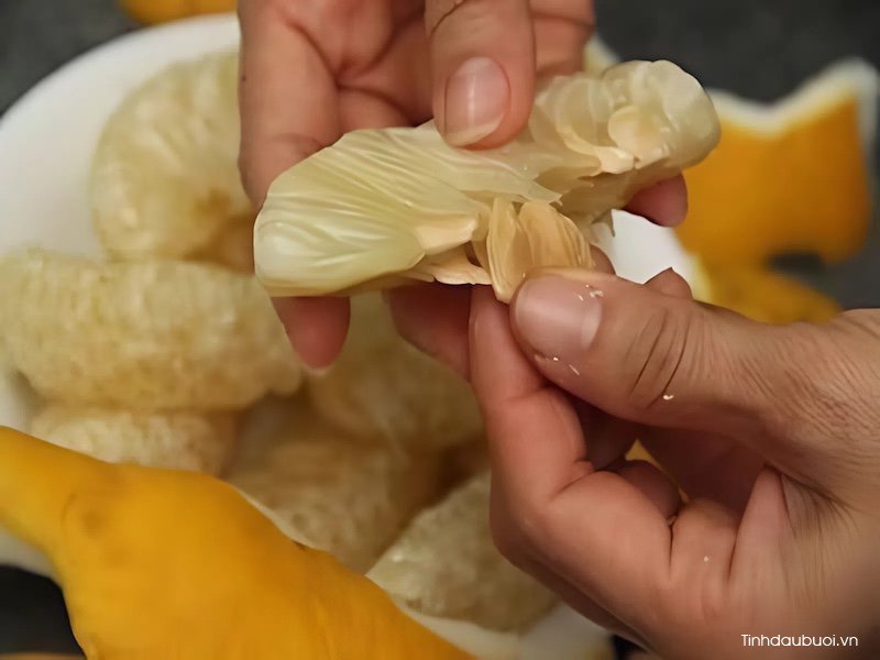 Chiet xuat pectin tu hat buoi