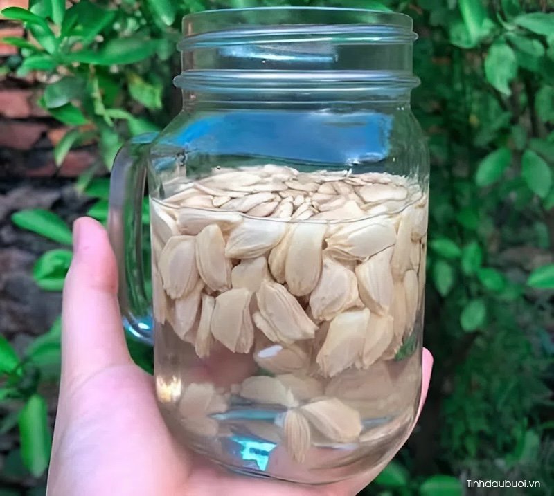 Chiet xuat pectin tu hat buoi