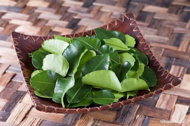 Tam la buoi mang lai loi ich gi