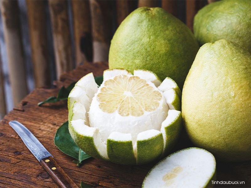Cấu tạo lớp cùi trắng quả bưởi