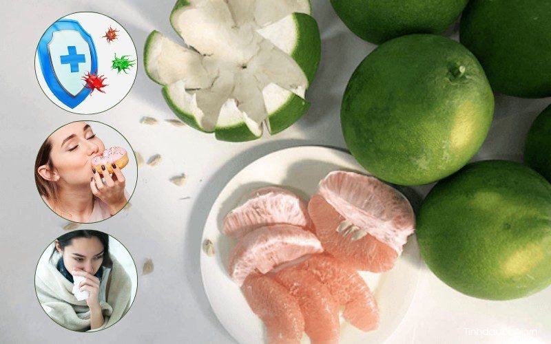 Cây bưởi thuộc họ gì cay buoi thuoc ho gi