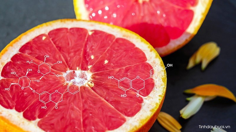 phân tích thành phần dinh dưỡng quả bưởi phan tich thanh phan dinh duong qua buoi