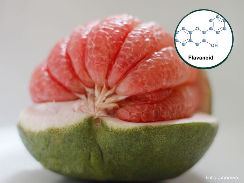 Tác dụng của flavonoid trong bưởi tac dung cua flavonoid trong buoi