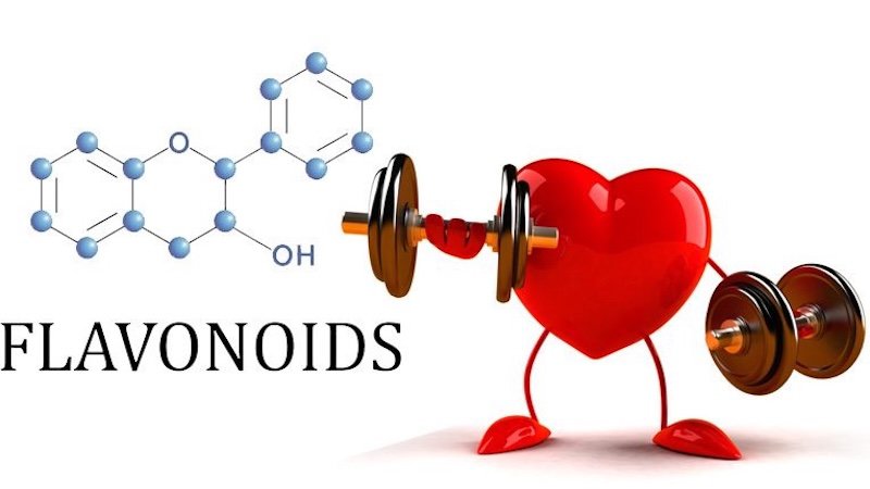Tác dụng của flavonoid trong bưởi tac dung cua flavonoid trong buoi