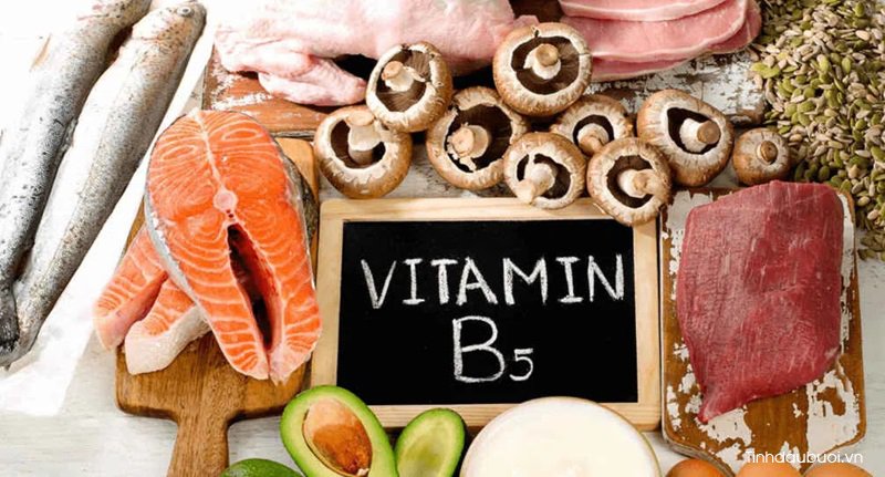 thuc pham giau vitamin b5