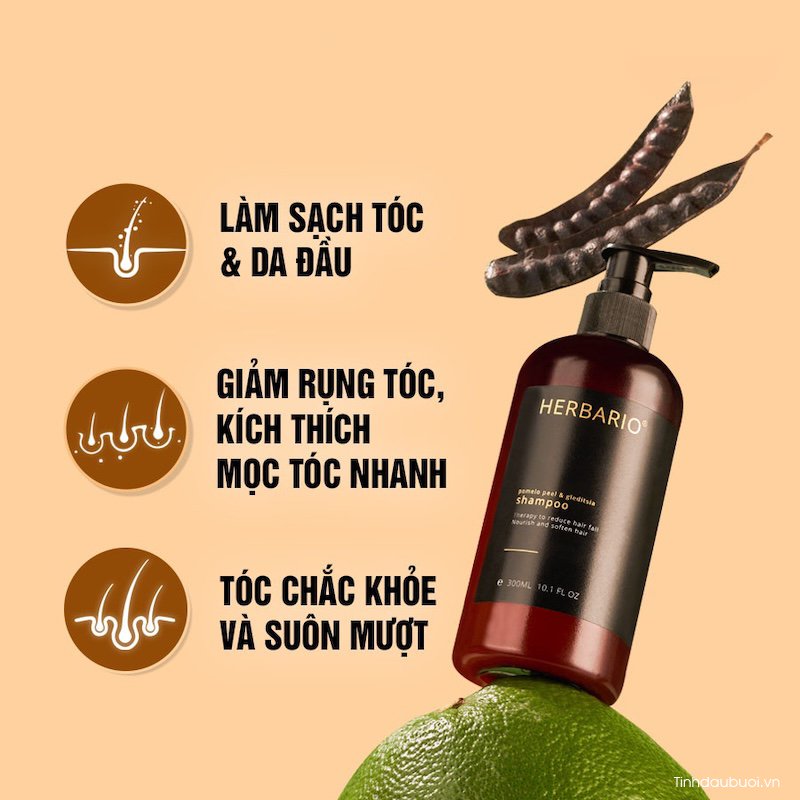 dau goi vo buoi bo ket Herbario ngan rung toc 