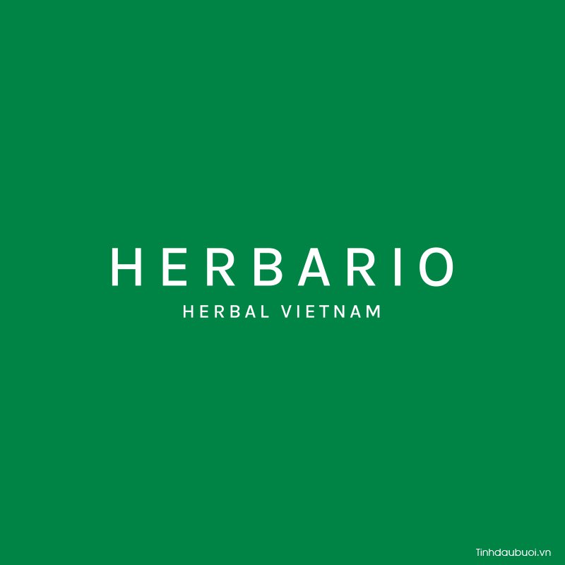 logo Herbario