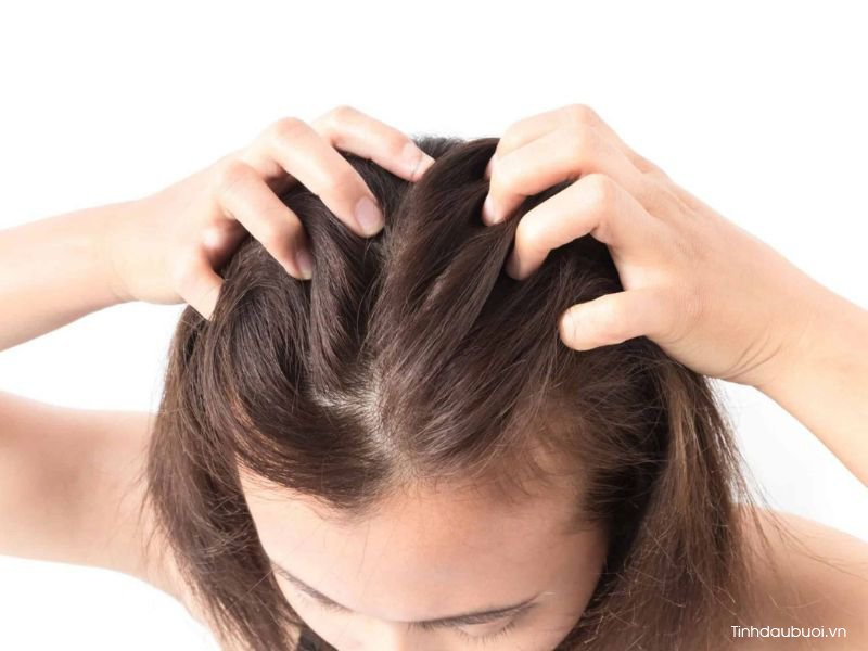 massage da dau voi tinh dau buoi