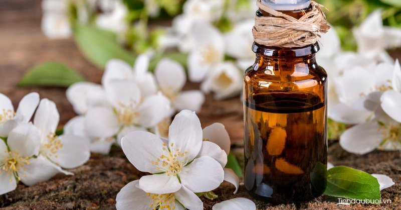 Ứng dụng của hoa bưởi ung dung cua hoa buoi