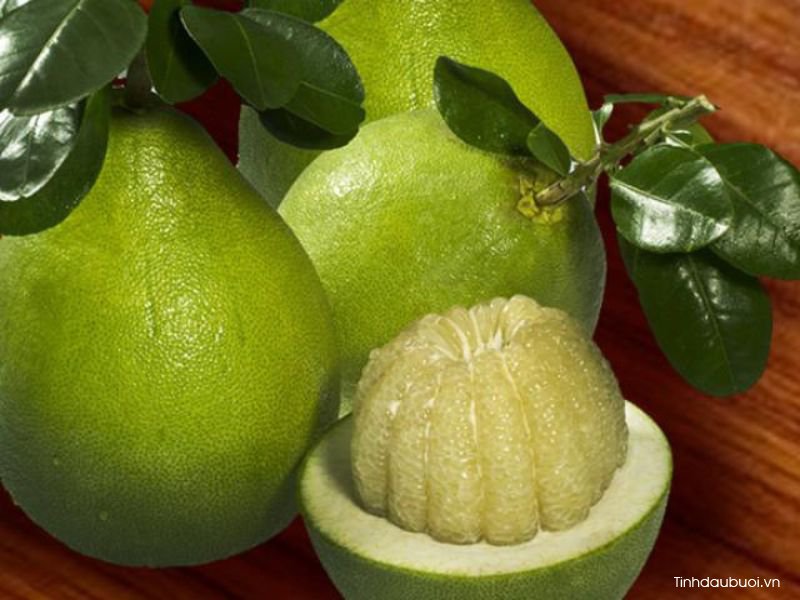 giống bưởi năm roi giong buoi nam roi