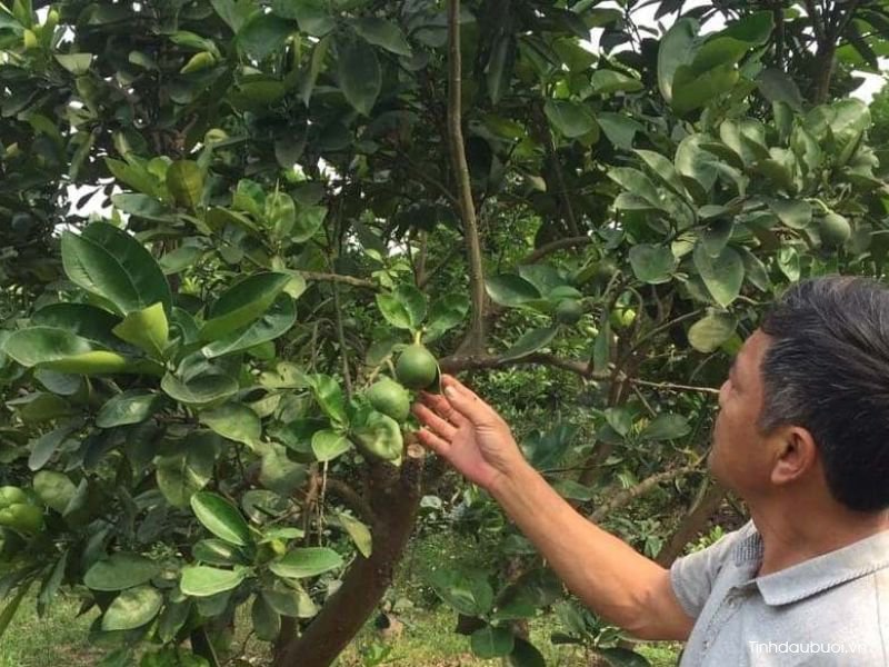 kinh nghiem trong buoi dien