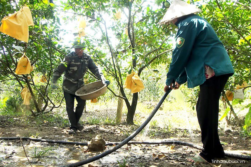 ky thuat trong buoi phuc trach