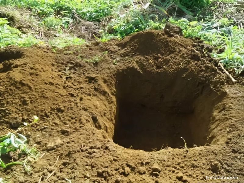 thoi vu trong buoi thich hop